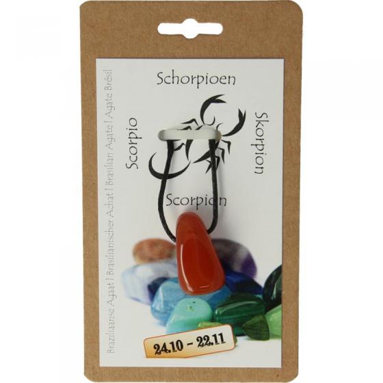 Sterrenbeeldhanger schorpioen