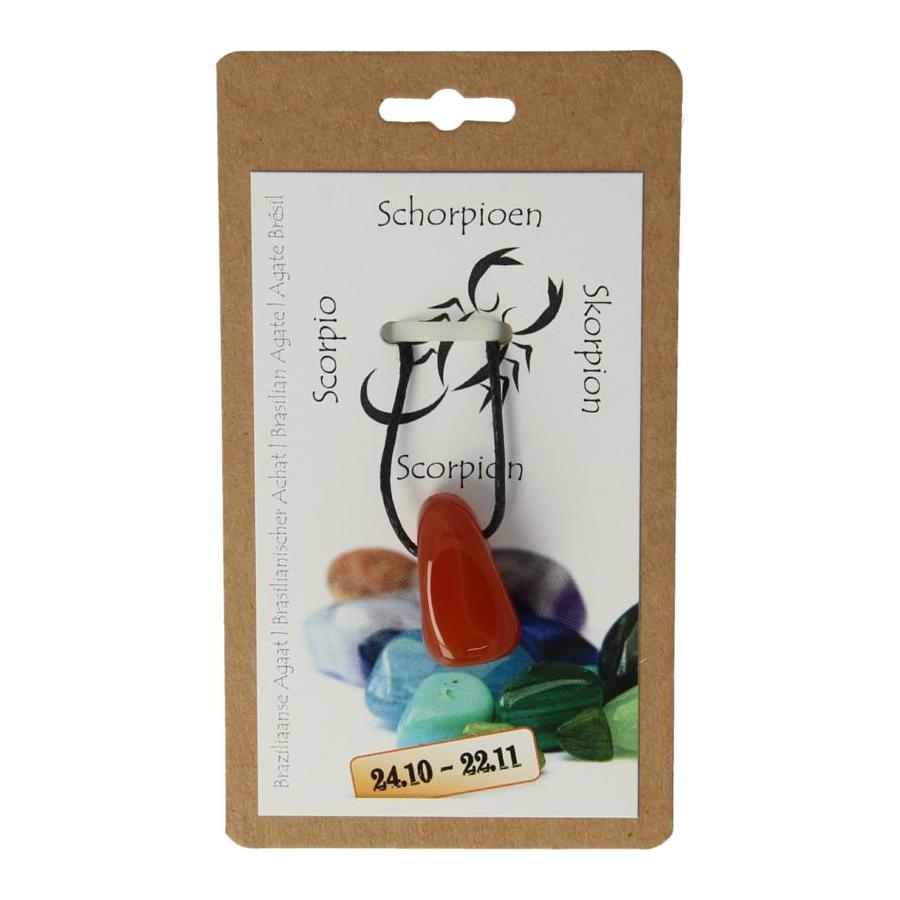 Sterrenbeeldhanger schorpioen
