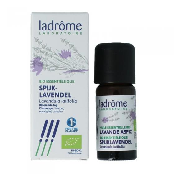 Spijk lavendel bio