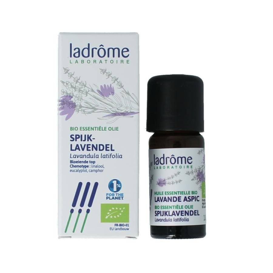 Spijk lavendel bio