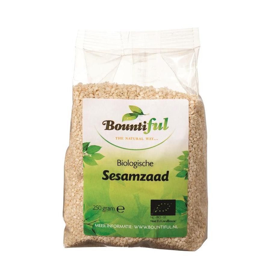 Sesamzaad bio