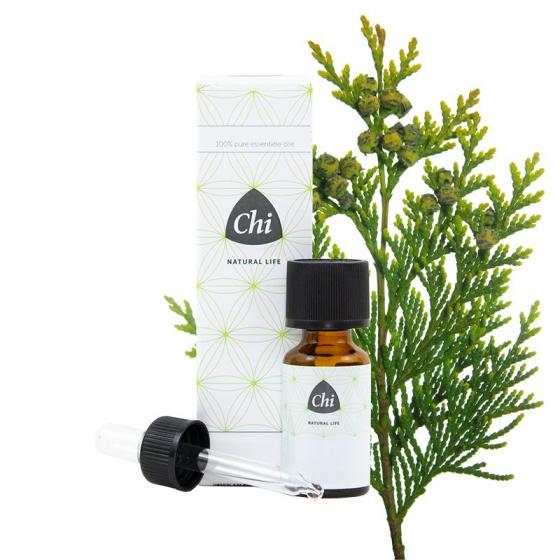 Thuja wild