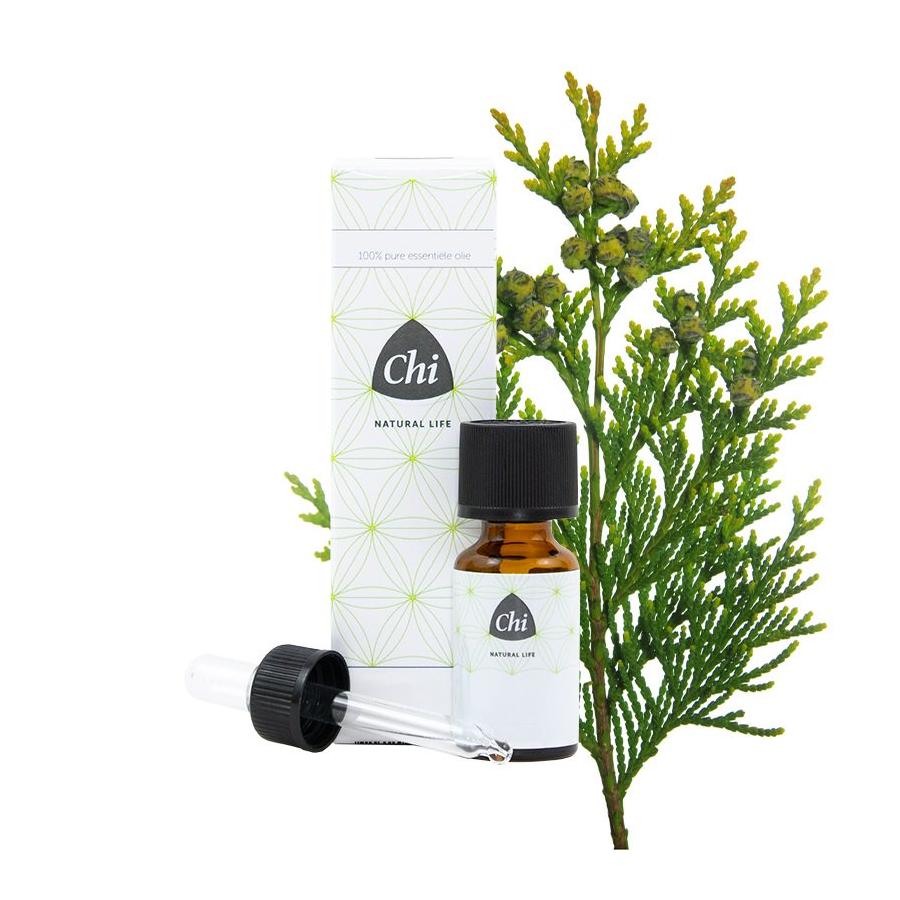 Thuja wild