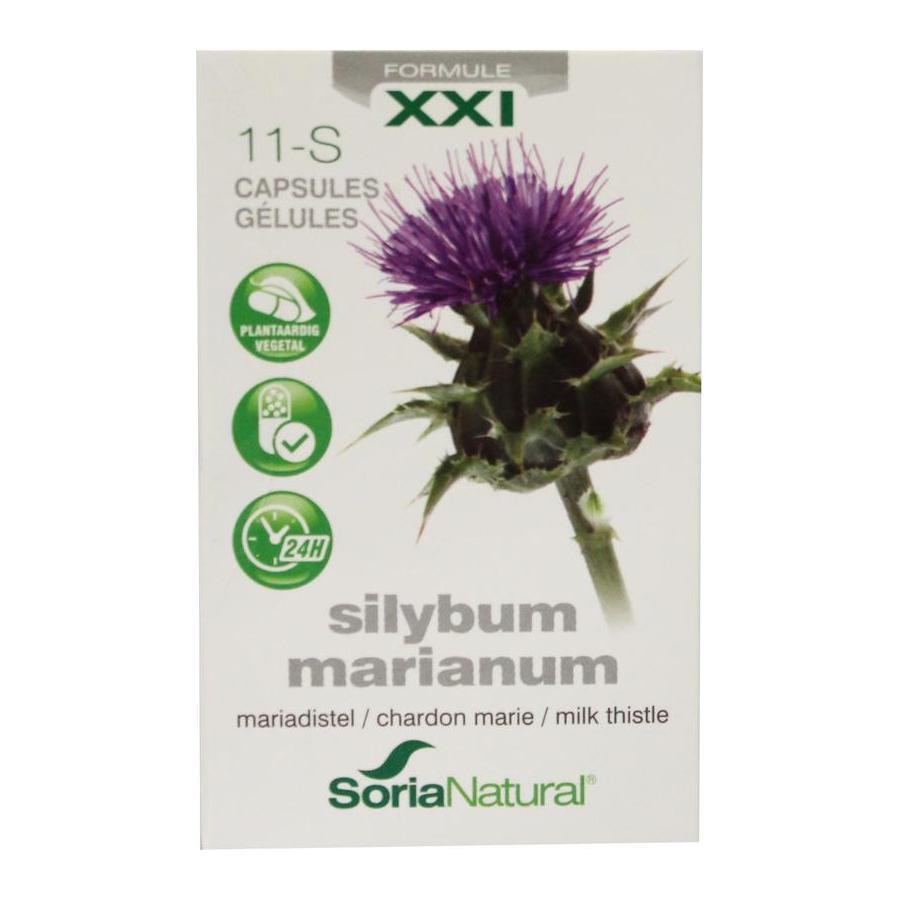 Silybum marianum XXI 11-S