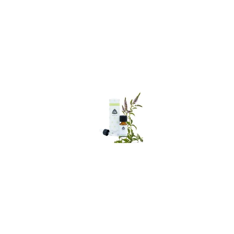 Kruizemunt eko bio