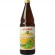 Kombucha bio