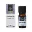 Eucalyptus smithii bio