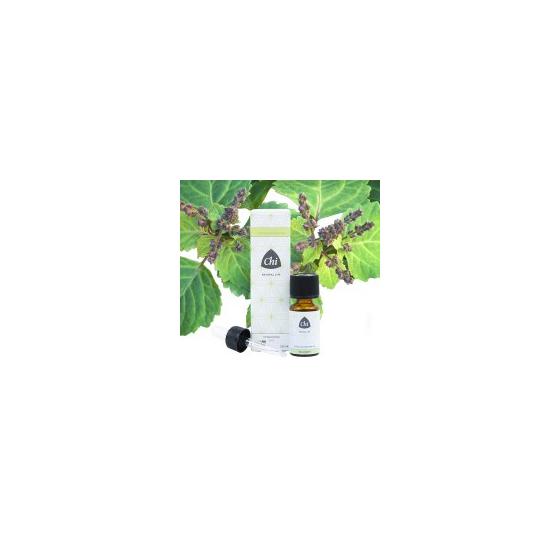 Patchouli etherische olie eko bio