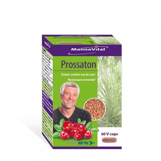 Prossaton