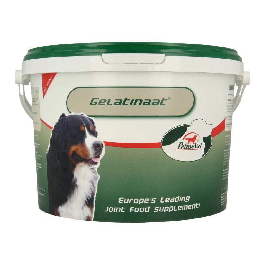 Gelatinaat hond