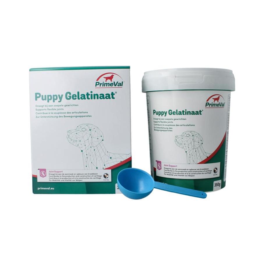 Gelatinaat puppy