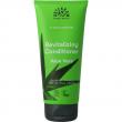 Conditioner aloe vera
