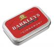 Classic mints cinnamon