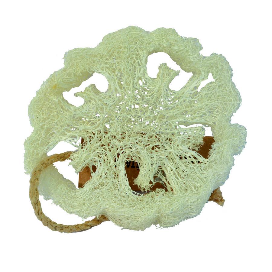 Loofah natuurspons plak