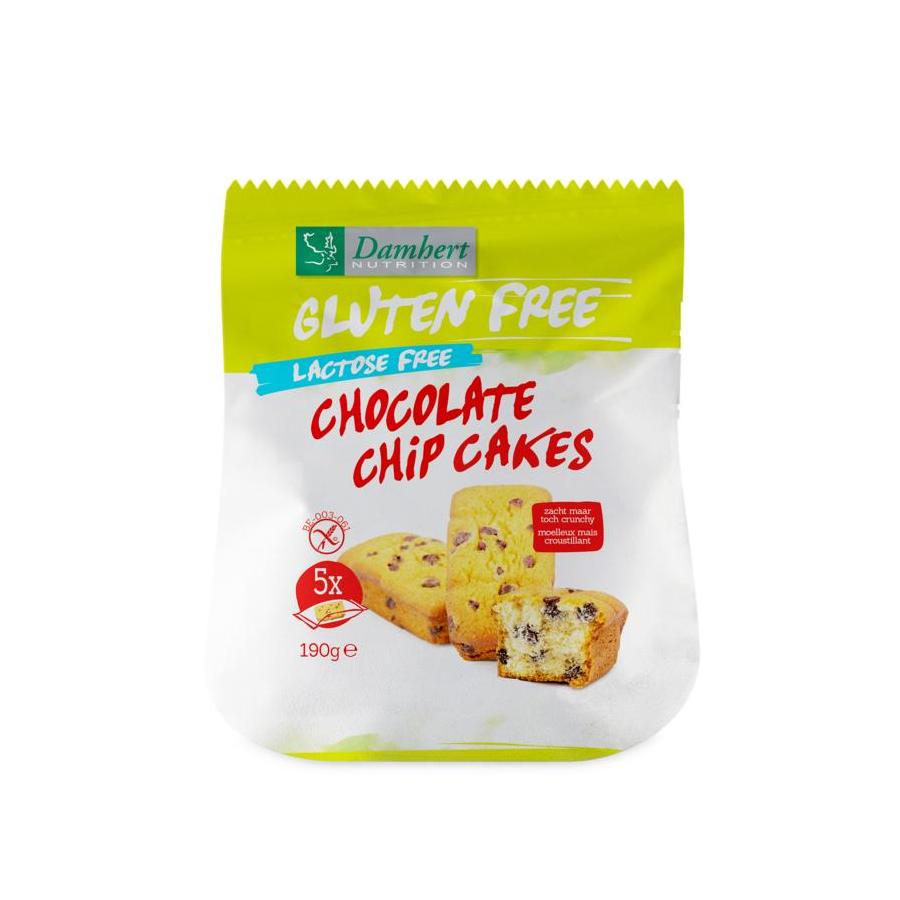 Chocolate chip mini cakejes