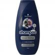 Shampoo silver reflex