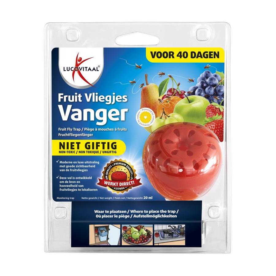 Fruitvliegjes vanger