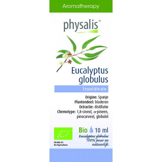 Eucalyptus globulus bio