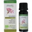 Geranium