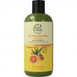 Shampoo aloe & citrus