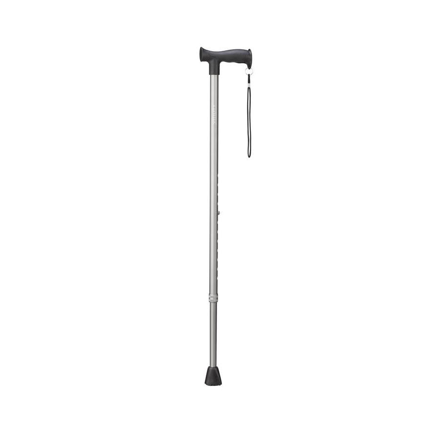 Wandelstok antraciet
