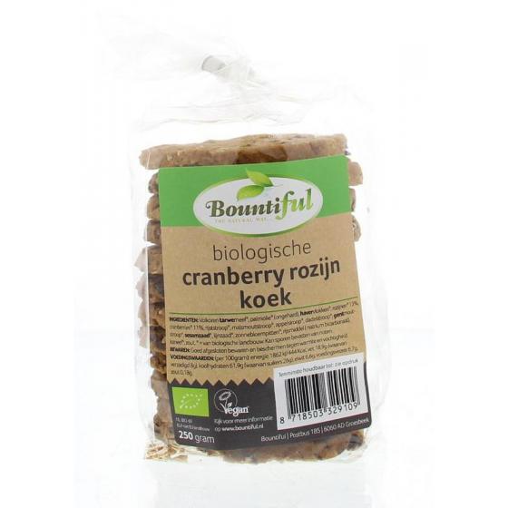 Cranberry rozijnkoek bio