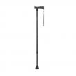 Wandelstok zwart