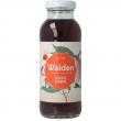 Ice tea peach jasmine bio
