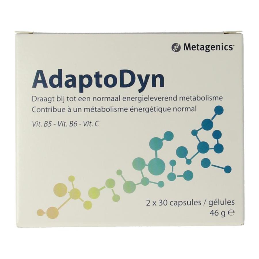 Adaptodyn