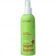 Hairspray little leaves antiklit watermeloen & ko