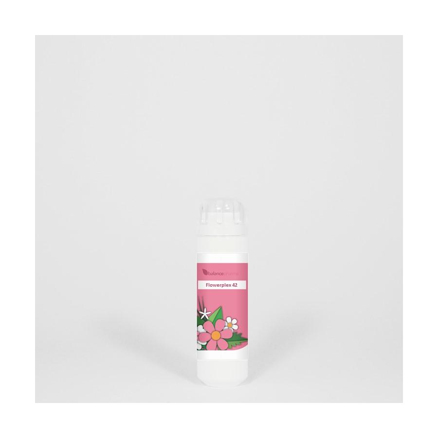 HFP042 Motivatie Flowerplex