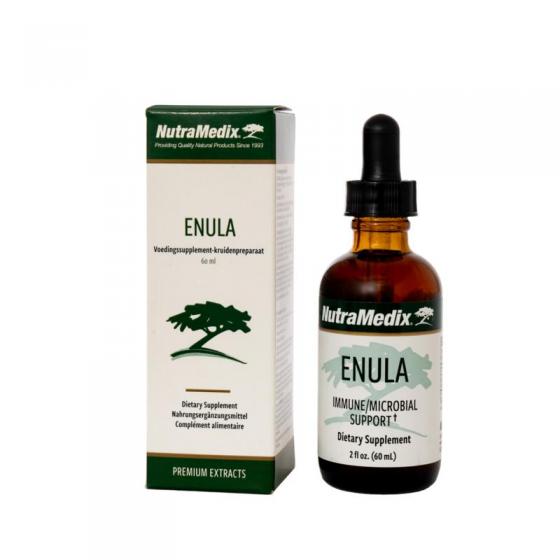 Enula