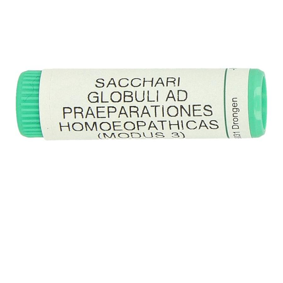 Saccharum officinalis/Placebo