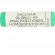 Saccharum officinalis/Placebo