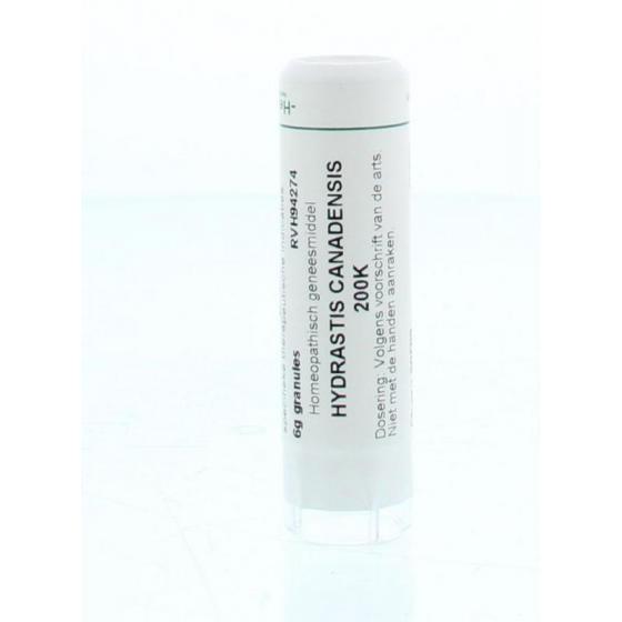 Hydrastis canadensis 200K