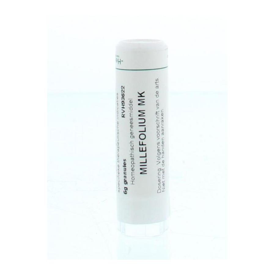 Millefolium MK