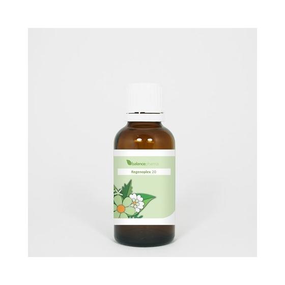 RGP020 Zenuwstelsel Regenoplex