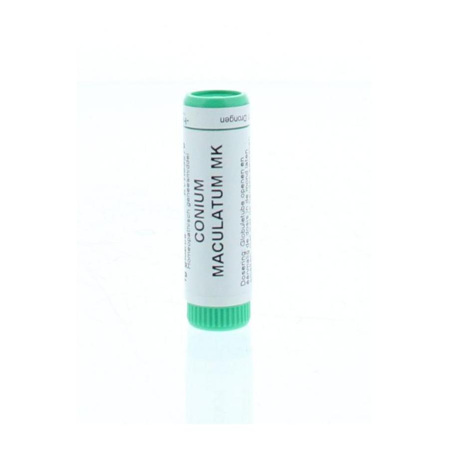 Conium maculatum MK