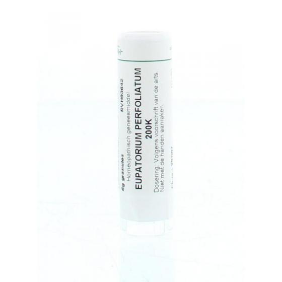 Eupatorium perfoliatum 200K
