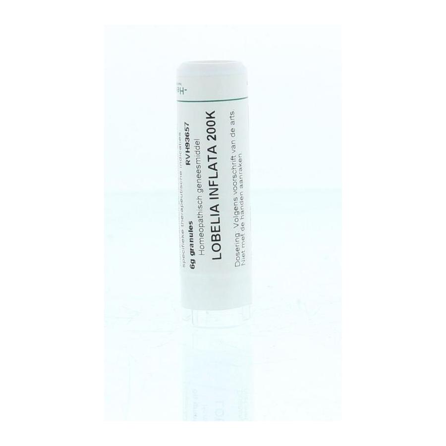 Lobelia inflata 200K