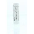 Lobelia inflata 200K
