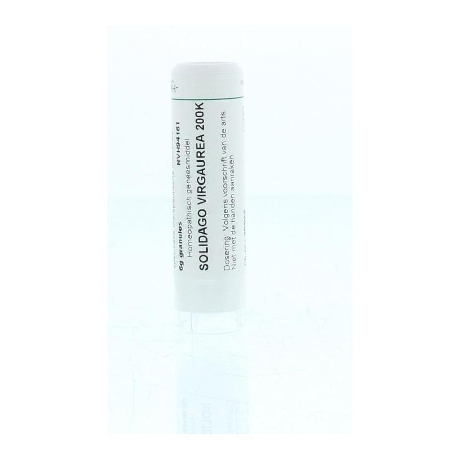 Solidago virgaurea 200K