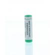 Cochlearia officinalis 200K