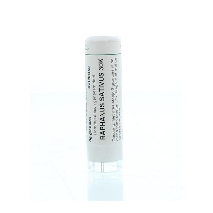 Raphanus sativus 30K