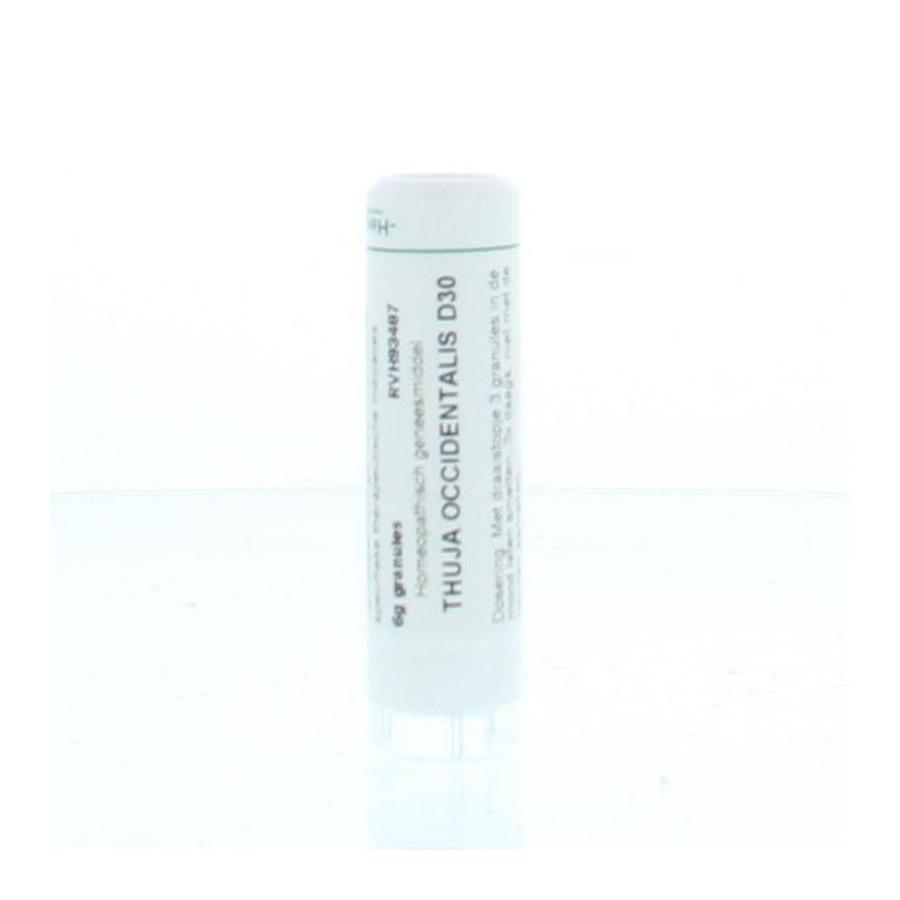 Thuja occidentalis D30