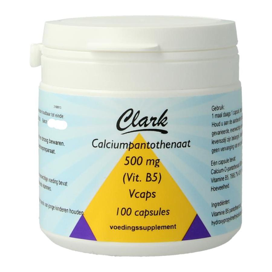 Vitamine B5 pantotheenzuur 500mg