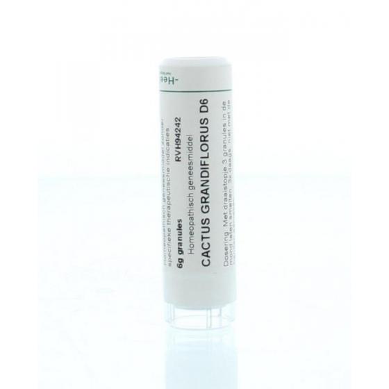 Cactus grandiflorus D6