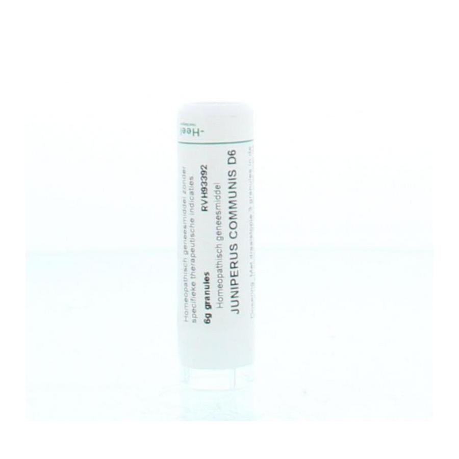 Juniperus communis D6