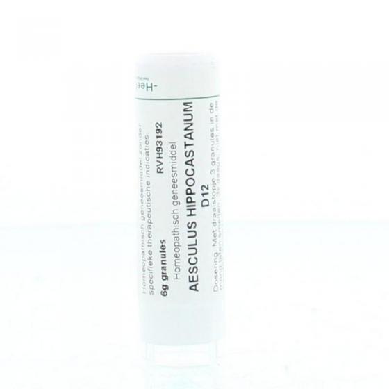 Aesculus hippocastanum D12