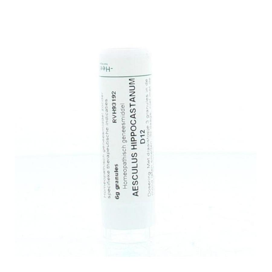 Aesculus hippocastanum D12